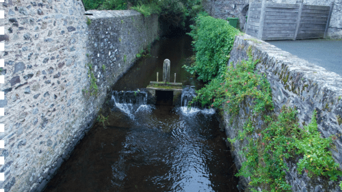 Petite balade à St David’s